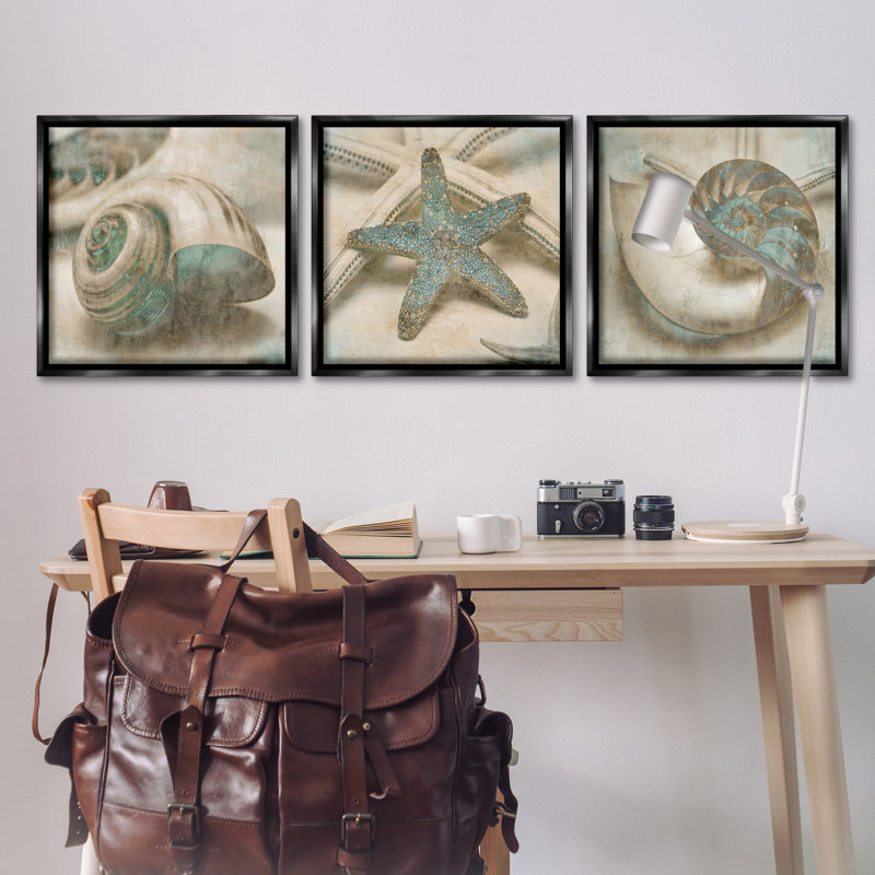 Étoile de mer et coquillages de mer délavés, ensemble de 3 toiles flottantes encadrées par John Seba, H 25 po x l 25 po
