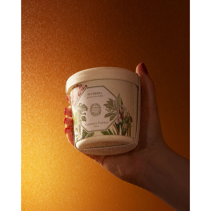 Frangipani Candle