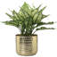 Handmade Metal Pot Planter