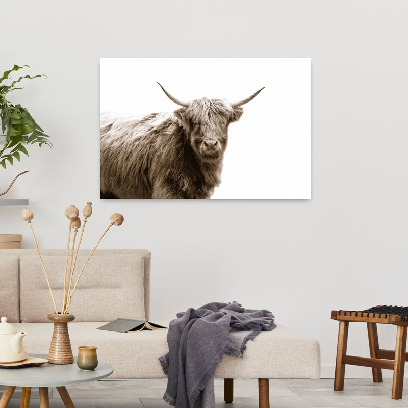 Highland Portrait, art de portrait de vache contemporain, H 36 po x l 24 po