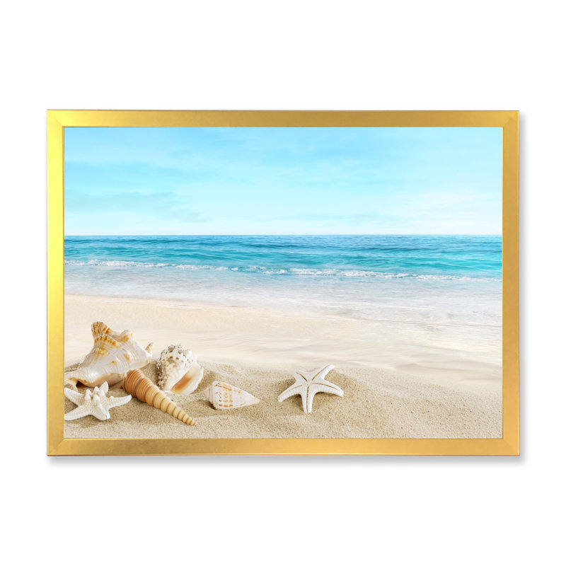 Paysage avec coquillages sur une plage tropicale - photographie sur toile, H 24 po x l 32 po, Cadre photo doré