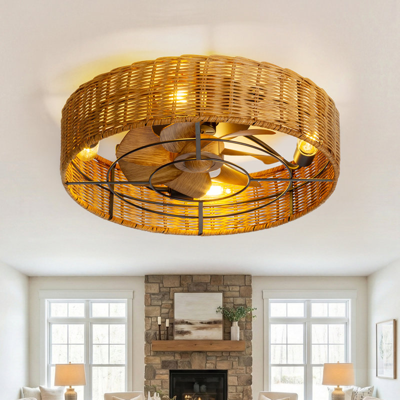 Adiyan 19'' Ceiling Fan with Light Kit