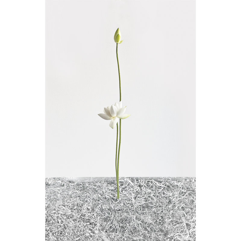 White Light #001 Print by Keiichiro Muramatsu