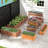 Arlmont & Co. Wooden Raised Garden Bed Outdoor Rectangular Planter Box With Drainage Holes