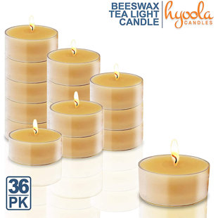 Harvest Scented Tealight Candle with Plastic Holder (Set of 36)