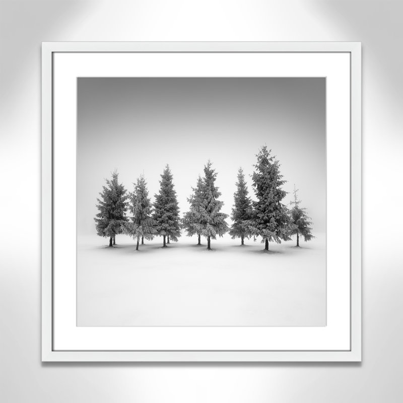 Impression d'épinette par Daniel, Blanc satiné, Imprimé mat, L 23,5 po x H 23,5 po