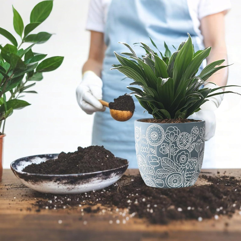 Terracotta Plant Pots Set Of 3