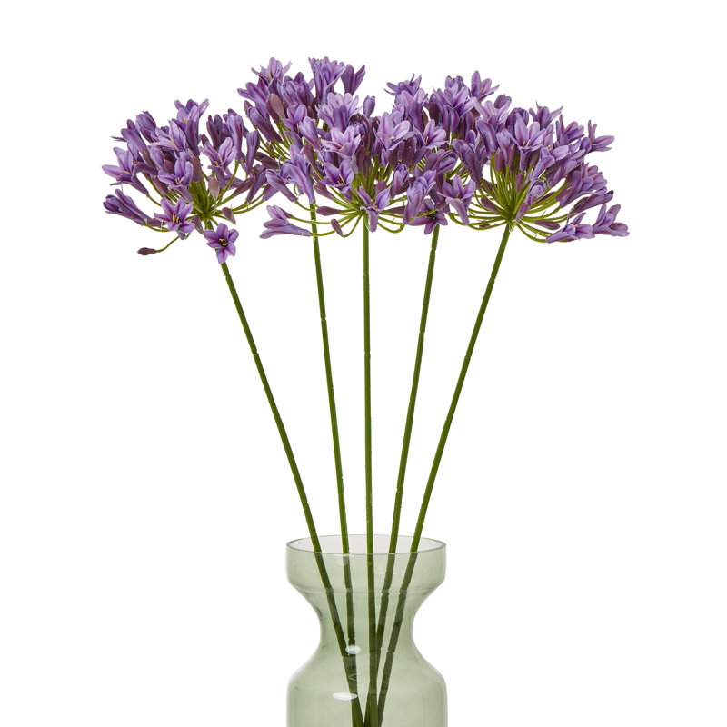 Anastasija Arrangement, Pink