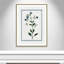 Shabby Elegance Botanical II by Kelly Donovan-72514456-72514449