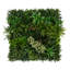 40 po x 40 po Panneau mural vivant et résistant aux rayons UV Amazon Rainforest (intérieur / extérieur)