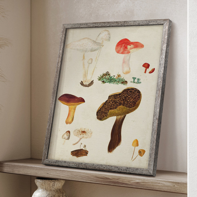 Reproduction encadrée de champignon Mushroom Species, H 11 po x l 9 po