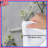Greenery Bedding Floral Comforter Minimalist-123125658