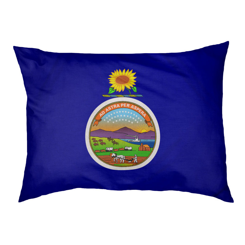 Coussin stylisé kansas flag Burien, L 42 po x l 52 po, Marron foncé