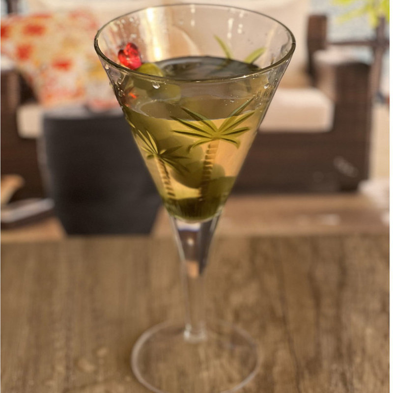 Verres à vin en plastique Palm V