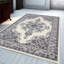Noor Oriental Area Rug-201226739