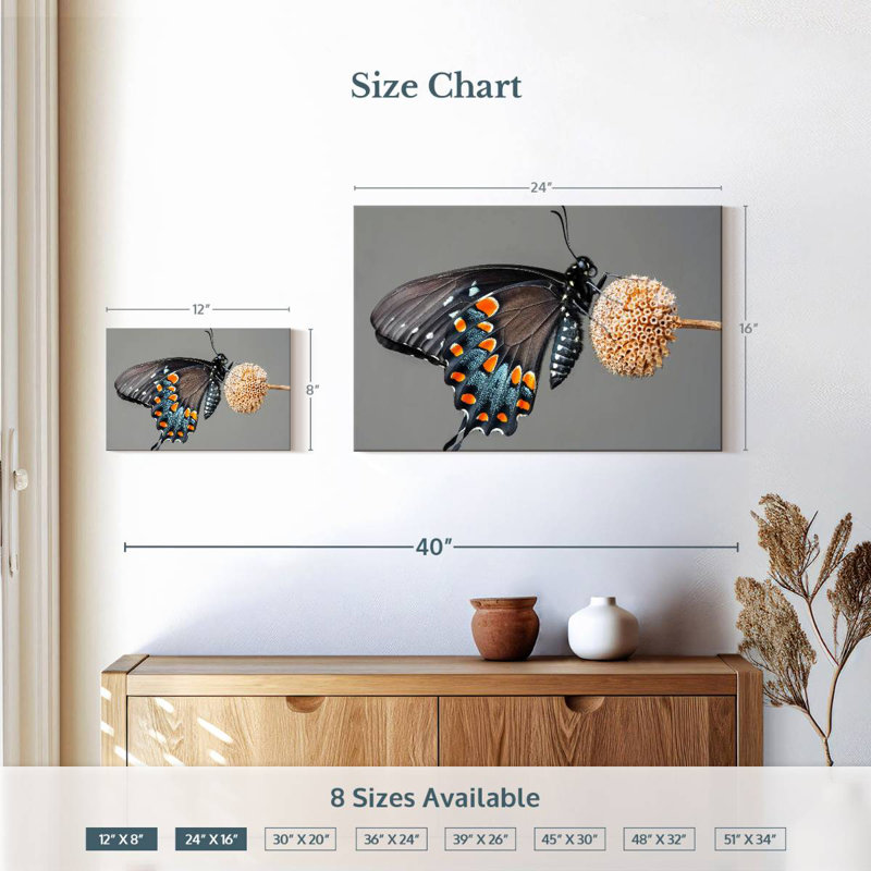 Papillon machaon noir Brampt, H 16 po x l 24 po