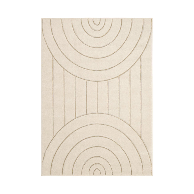 Taddea Oriental Area Rug, Rectangle 160 x 230 cm