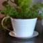 Pot à fleurs Byntlee