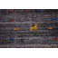 Tapis tribal à rayures Gabbeh 5 x 8