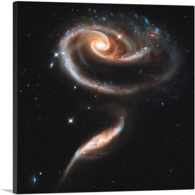 Hubble Telescope Galactic Rose Made of Galaxies Arp 273 - Reproduction de photo sur toile tendue