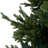 Traditional Christmas Tree with Lights, Prelit with Metal Stand-1446057205