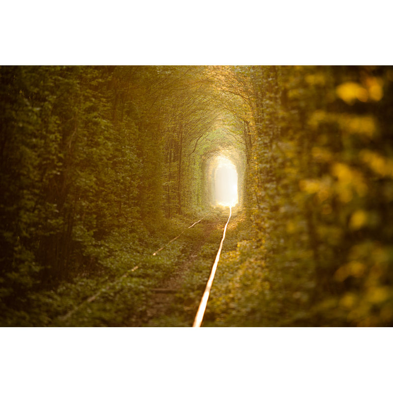 Green Tunnel by Alex_Ishchenko - Wrapped Canvas Print, 20cm H x 30cm W x 3.8cm D