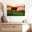 Alvord Cow Sunrise-107687664