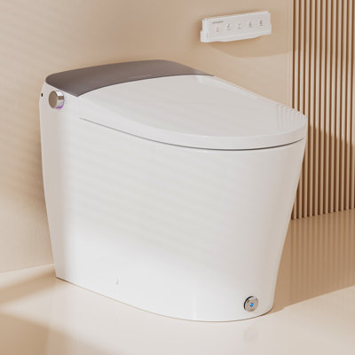 Modern Smart Toilet Elongated Bidet Toilet, Built-in Tank & Pump for Powerful Flush, Auto Open/Close Lid, Heated Seat, Warm Air Dryer, Wireless Remote -  Casta Diva, CD-Y060