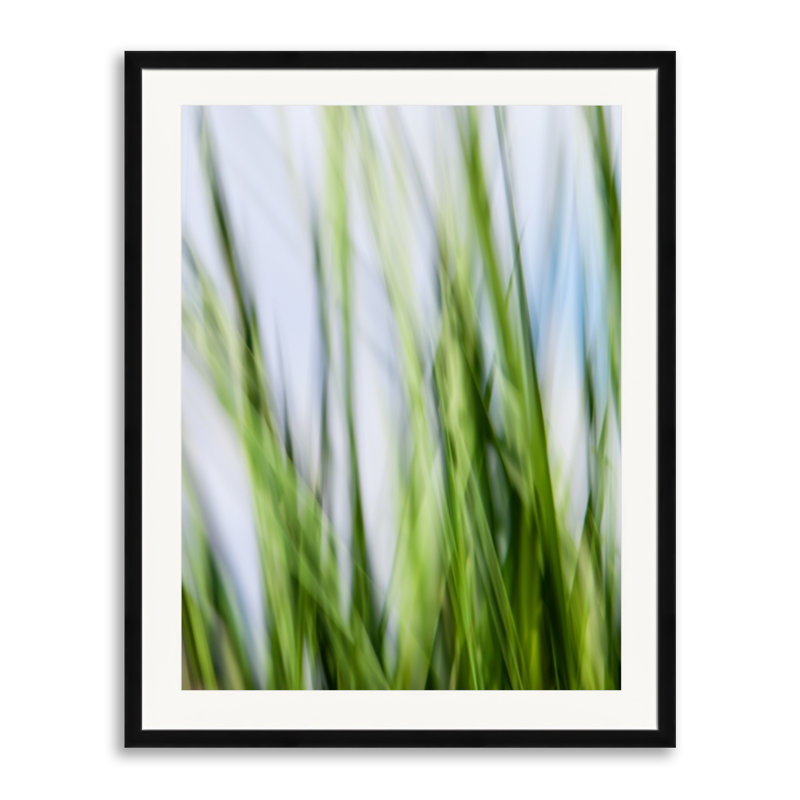 Grasses_1326 par Rica Belna - photographie, 39" H x 30" W, Papier avec cadre noir