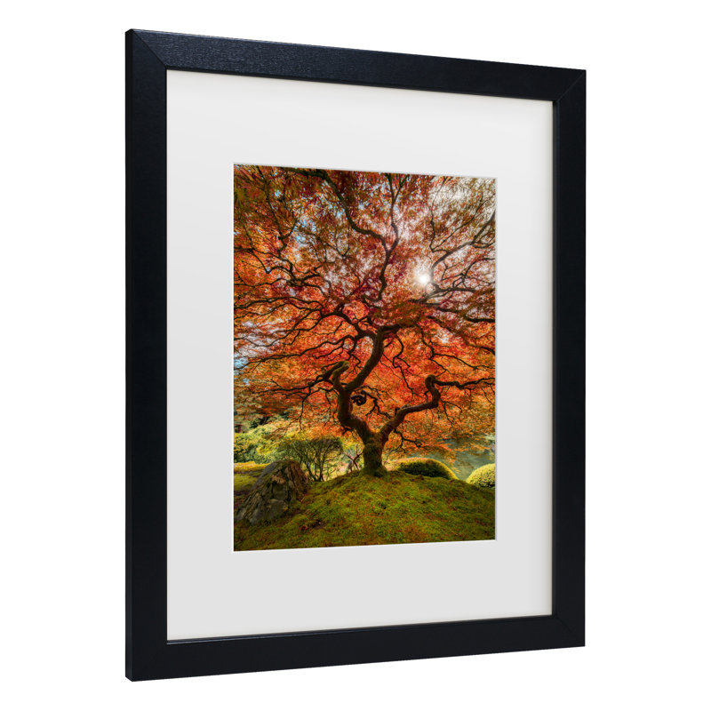Art encadré moisis Levy «The Tree Vertical», Noir, H 16 po x l 13 po x P 0,75 po