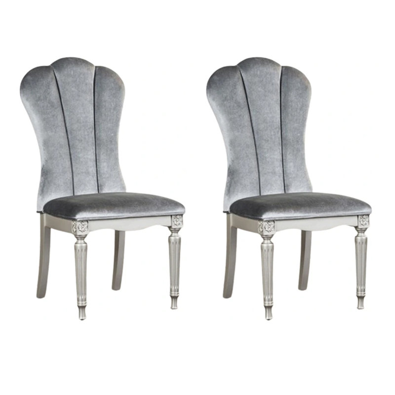 Ensemble de 2 chaises de salle à manger Hixe, Gris, Argent argent