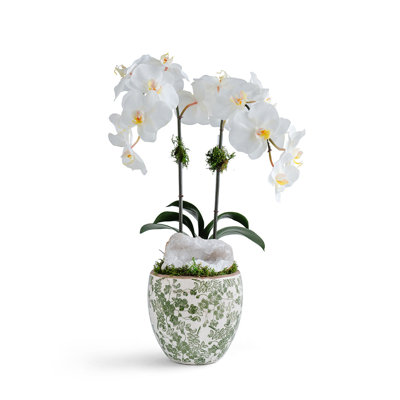 Double Orchid vase