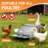 11'' Silver Chicken Feeder Rodent Proof