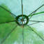 Amazonia 295cm Cantilever Parasol-32244621