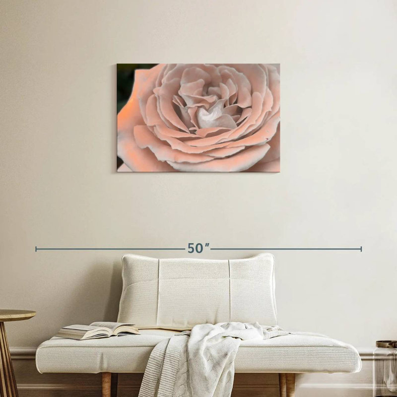 Rose pétale Harnek, H 20 po x l 30 po