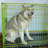Arpita Metal Collapsible Pet Crate with 2 Doors-23676191-15052368