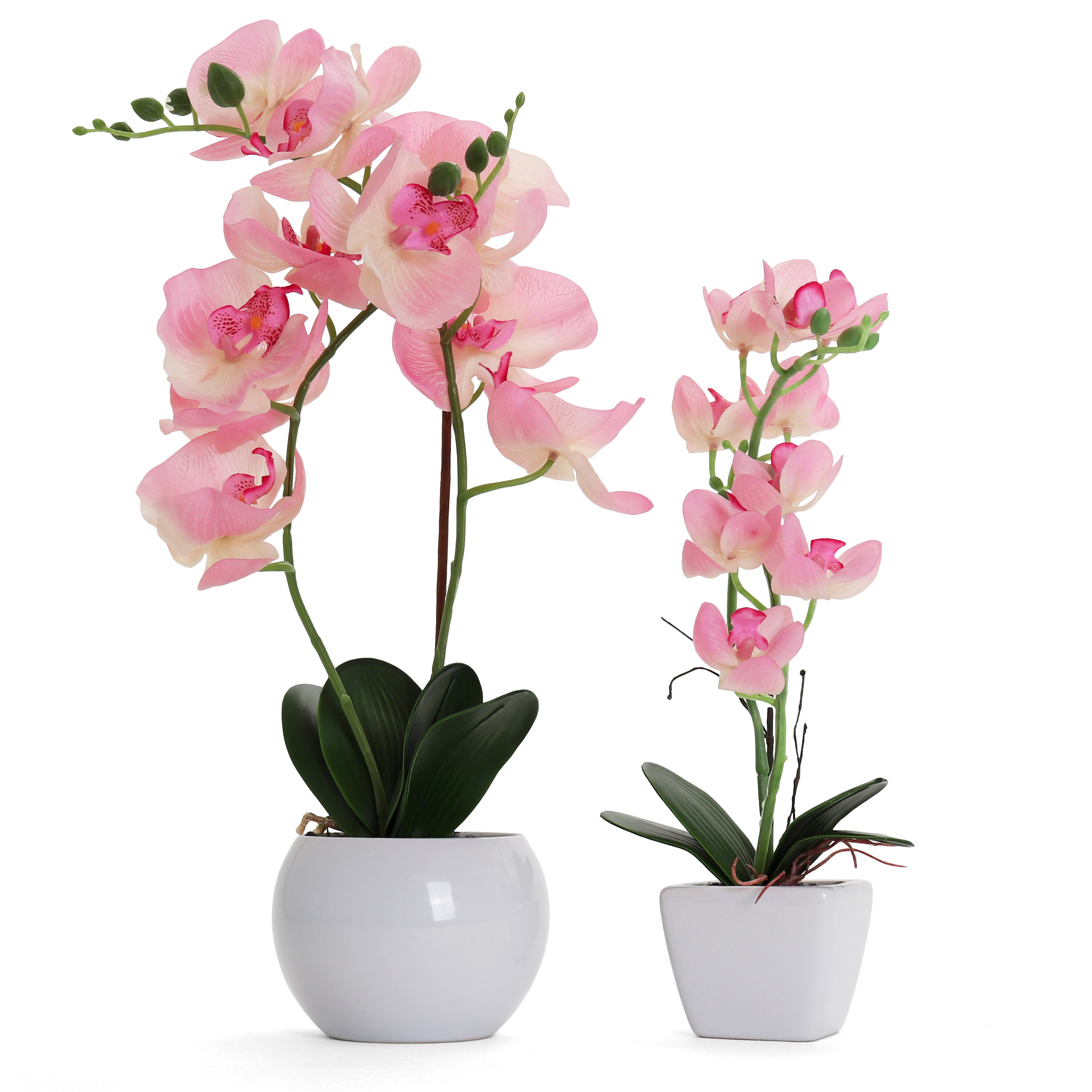 is Raffinaderi forligsmanden Bornbridge Artificial Orchid in Vase & Reviews | Wayfair