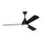 Ceiling Fan with LED Lights-211481074-220343687
