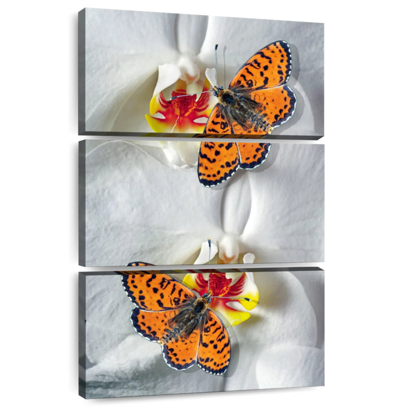 Brampt Orange Butterfly Duo, 65" H x 42" W