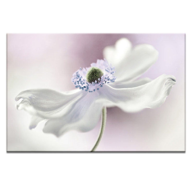 Print on Canvas, 51cm H x 76cm W, Wrapped Canvas