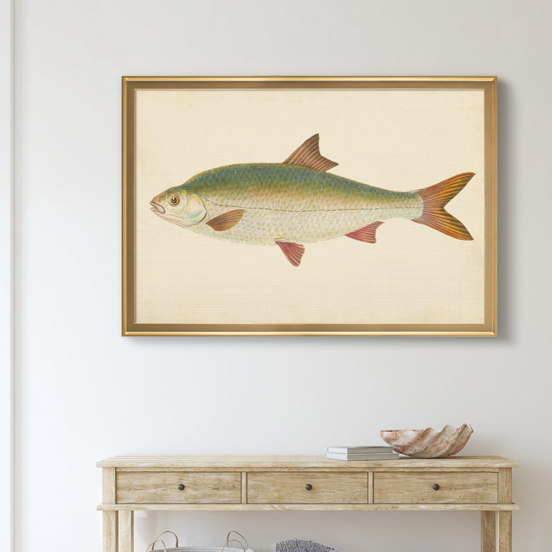 " Donovan Antique Fish II ", 22.5" H x 30.5" W x 1.5" D, Gold