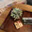 Customer photo 3 of 3