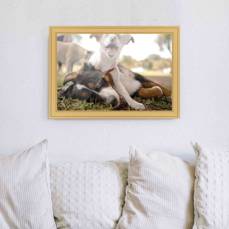 Cadre photo Reyshawn, Brun, L 12 po x H 20 po