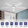 52" Elvert Flush Mount Ceiling Fan with LED Lights