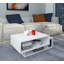 Rikhia Coffee Table with Storage-1191968348