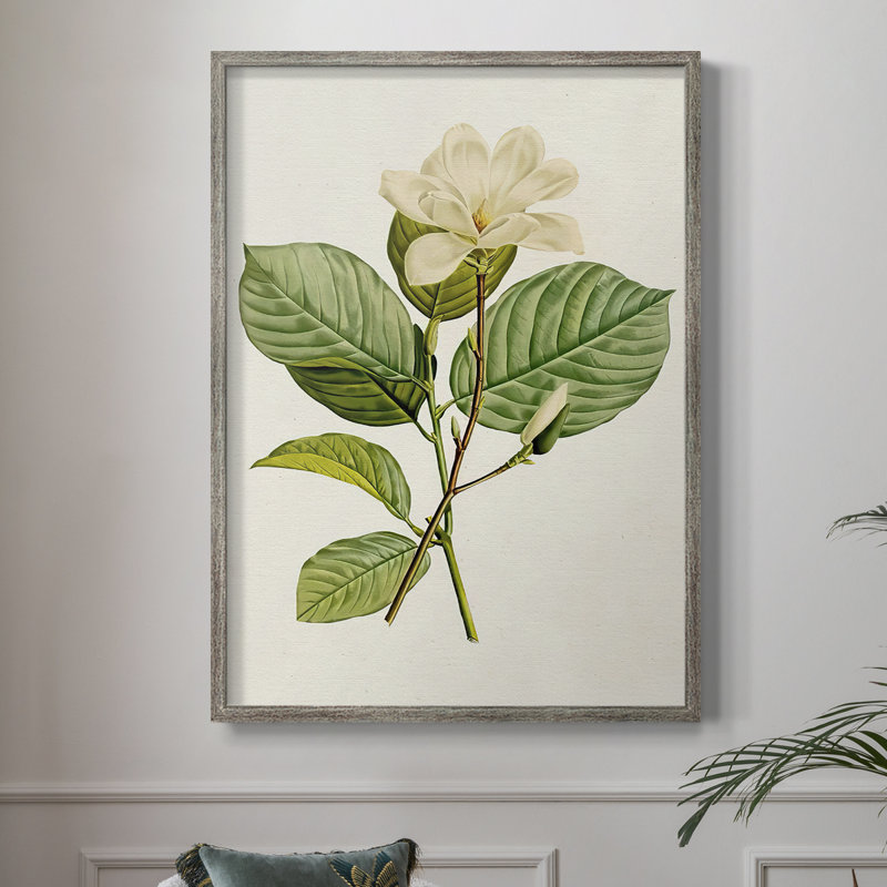 MagnoliaFlowersI Framed Print - Solid Wood 2774249, 21" H x 17" W