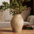 Dashiah Terracotta Vase with Ribbed Texture