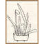 Peregrina II Framed by Susan Hable