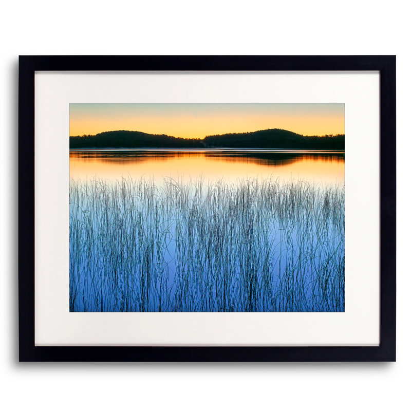 Roseaux dans un étang au crépuscule par Bruce Heinemann - photographie, 16" H x 20" W, Toile encadrée noire