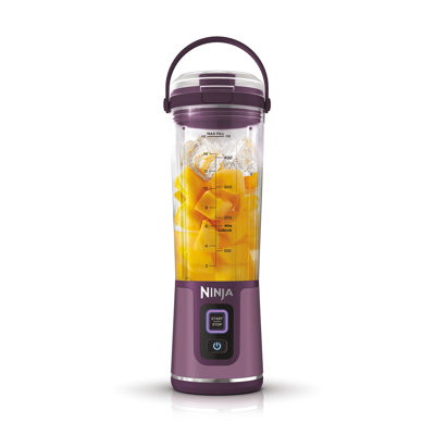 Ninja 530ml Personal Blender